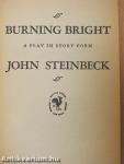 Burning bright