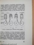 A tűztől az atomenergiáig