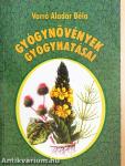 Gyógynövények gyógyhatásai