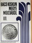 Bács-Kiskun megye múltjából VII.