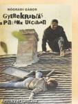 Gyerekrablás a Palánk utcában