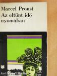 Az eltűnt idő nyomában I.