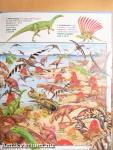 Keresd meg a dinoszauruszokat!