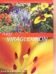 Nagy viráglexikon