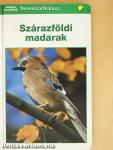 Szárazföldi madarak