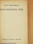 Foglalkozása: férj