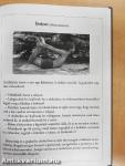 Jógama