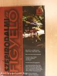 Szépirodalmi figyelő 2008/5.