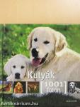 Kutyák 1001 fotón