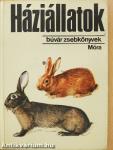 Háziállatok
