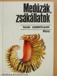 Medúzák, zsákállatok