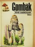 Gombák