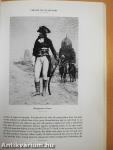 Napoleon on Napoleon