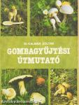 Gombagyűjtési útmutató