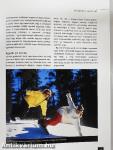 Snowboard