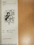 English Fast 3. - Student's Books