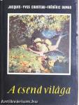 A csend világa