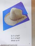 What Is It?