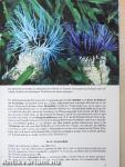 Exotarium