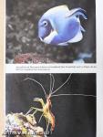 Exotarium