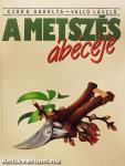 A metszés ábécéje