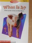 What Is It?