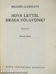 Hová lettél drága völgyünk?