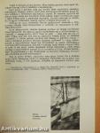 Korunk 1966. június