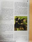 A vadászkutya 2011/5. szám