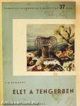 Élet a tengerben