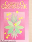 Csodatevő gyógynövények