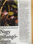 Akvárium és terrárium 1989/1.