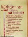 Műkincsem van - mit tegyek, mit tehetek?