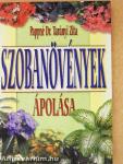 Szobanövények ápolása