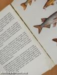 Halak