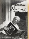 Barátom, Picasso