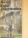 Kántor a nagyvárosban