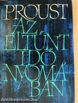 Az eltűnt idő nyomában I.
