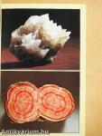 Mineralien Gesteine