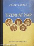 Tizenhat nap