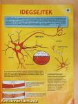 Természettudomány