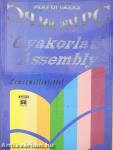 Gyakorlati Assembly