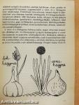 Biogyógyszerek a gyógyító növények