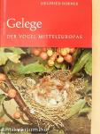 Gelege