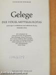 Gelege
