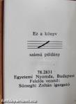 Zenei napok Nyírbátor (minikönyv)