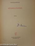 Tűzzel-vassal