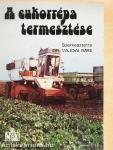 A cukorrépa termesztése