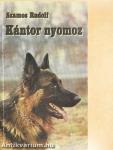 Kántor nyomoz