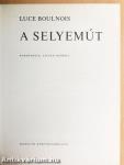 A selyemút